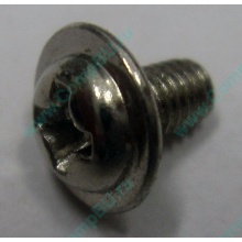 Компьютерный винт "малый" PW-M3x6mm (Сходня)