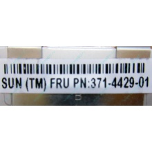 Серверная память SUN (FRU PN 371-4429-01) 4096Mb (4Gb) DDR3 ECC в Сходне, память для сервера SUN FRU P/N 371-4429-01 (Сходня)