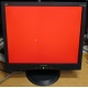 Монитор 19" ViewSonic VA903b (1280x1024) есть битые пиксели (Сходня)