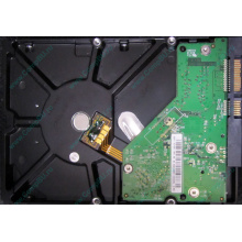 Б/У жёсткий диск 500Gb Western Digital WD5000AVVS (WD AV-GP 500 GB) 5400 rpm SATA (Сходня)