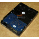 Электроника HDD 500Gb Hitachi HDS721050DLE630 (Сходня)