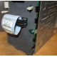HP 365664-001 кабель SCSI для корзины 373108-001 / 359719-001 HP ML370G4 (Сходня)