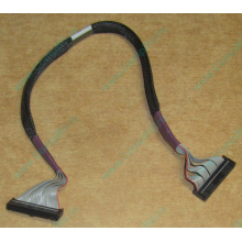 FDD-кабель HP 271946-006 для HP ML370 G3 G4 (Сходня)