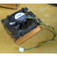 Intel C24751-002 (Сходня)