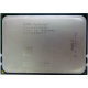 AMD Opteron 6128 OS6128WKT8EGO (Сходня)