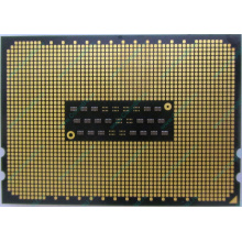 AMD Opteron 6128 OS6128WKT8EGO (Сходня)