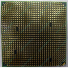 Процессор AMD Athlon 64300+ (1.8GHz) ADA3000IAA4CN s.AM2 (Сходня)