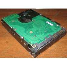 Жесткий диск 300Gb 15k Dell 9CH066-050 6G SAS (Seagate Cheetach ST3300656SS 15K.6) - Сходня